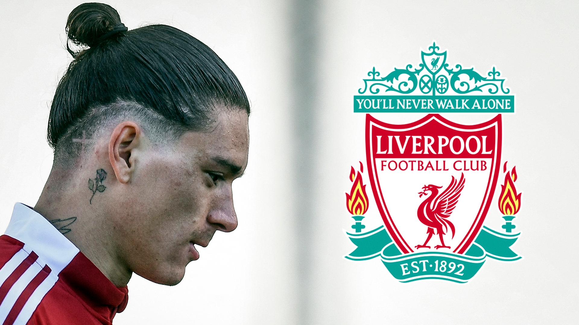 Liverpool FC: A Perfect Summer For the Reds