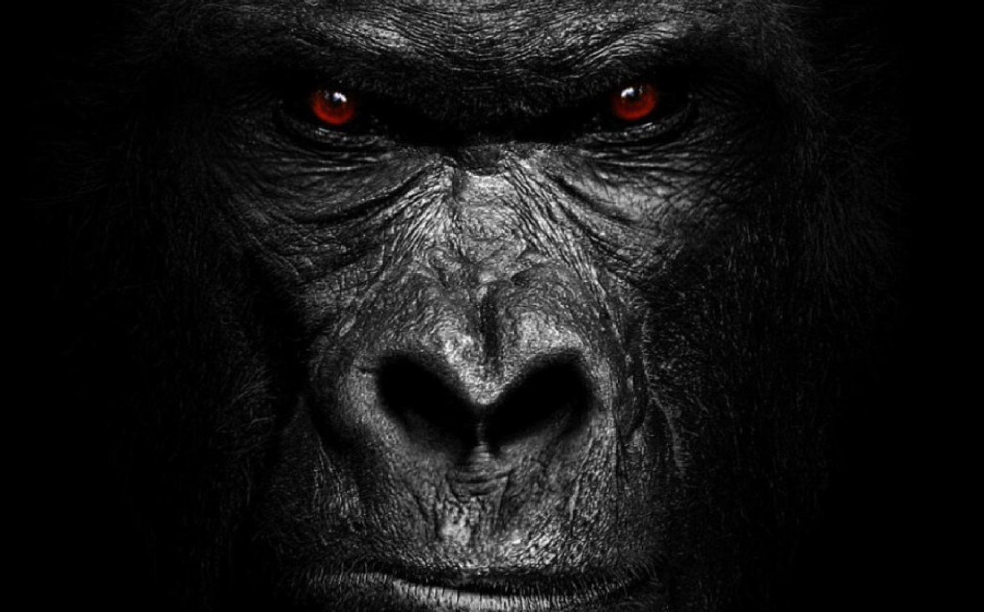 Extreme Ramp Up Radiant Rock For Six